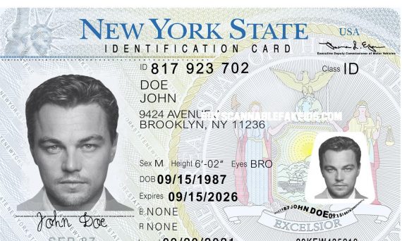 New York Scannable Fake Id Card - Buy Scannable Fake Id - Best Fake IDs ...